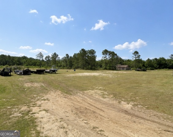 1087 Green Morgan School Road Clyo, GA 31303 - Photo 14 of 24