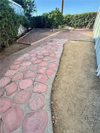 a view of a yard with plants