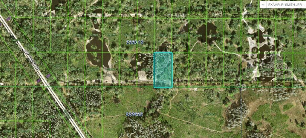 N/a Kathleen, FL 33849 - Photo 1 of 2