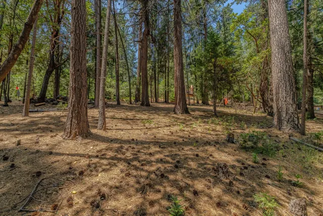 $39,000 | 16896 Silver Drive, Pioneer, CA 95666