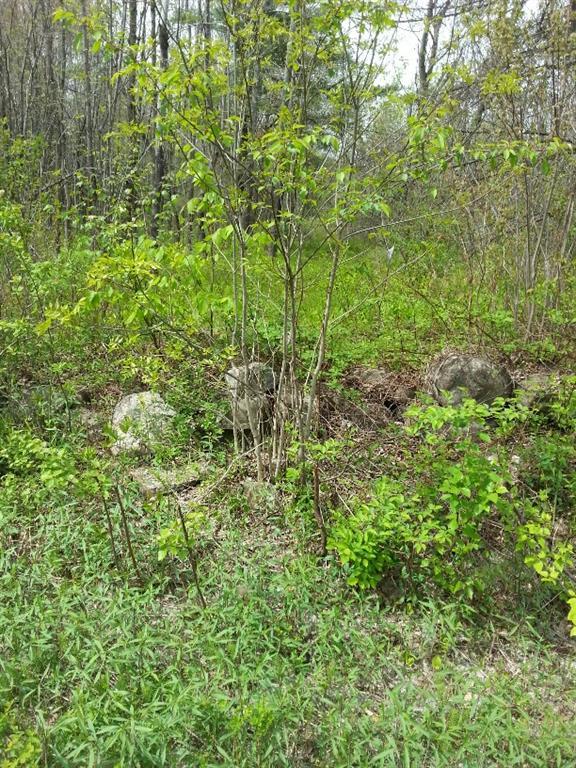 Tbd Nickerson Hill Road Readfield, ME 04355 - Photo 2 of 2 Photo
