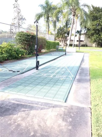 a view of a yard with palm trees
