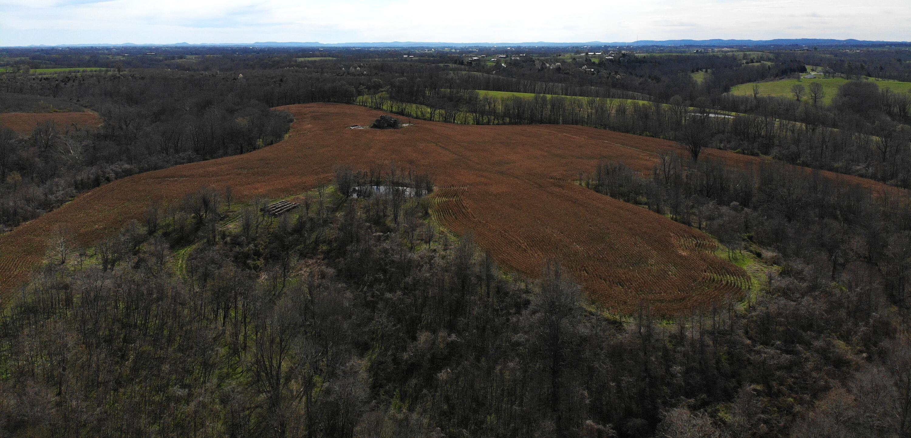 3818 Buckeye Road Lancaster, KY 40444 - Photo 15 of 23 DJI_0878