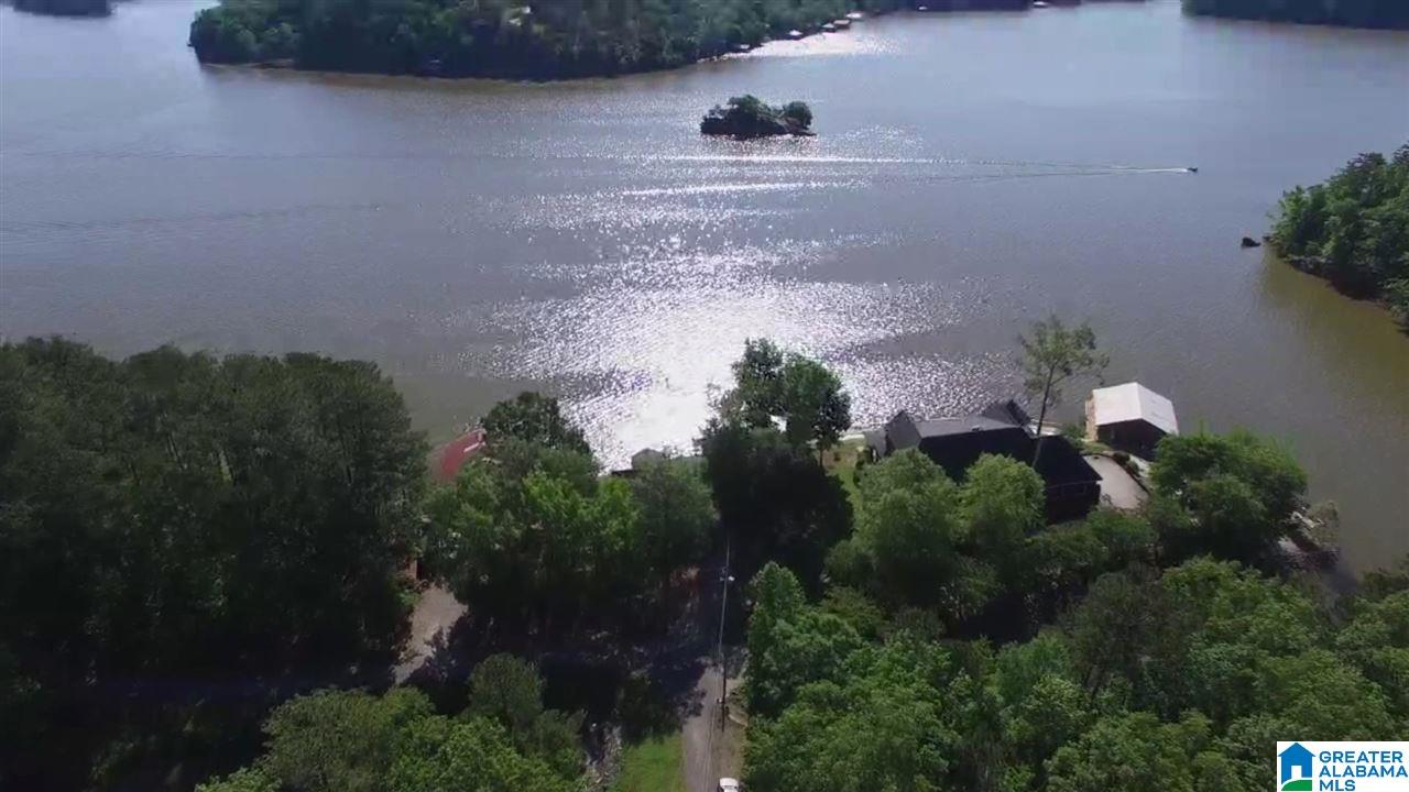 3100 Waldrop Road Ashville, AL 35953 - Photo 3 of 50