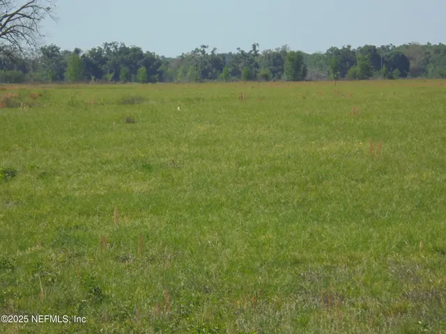 a view of a field with trees in the background