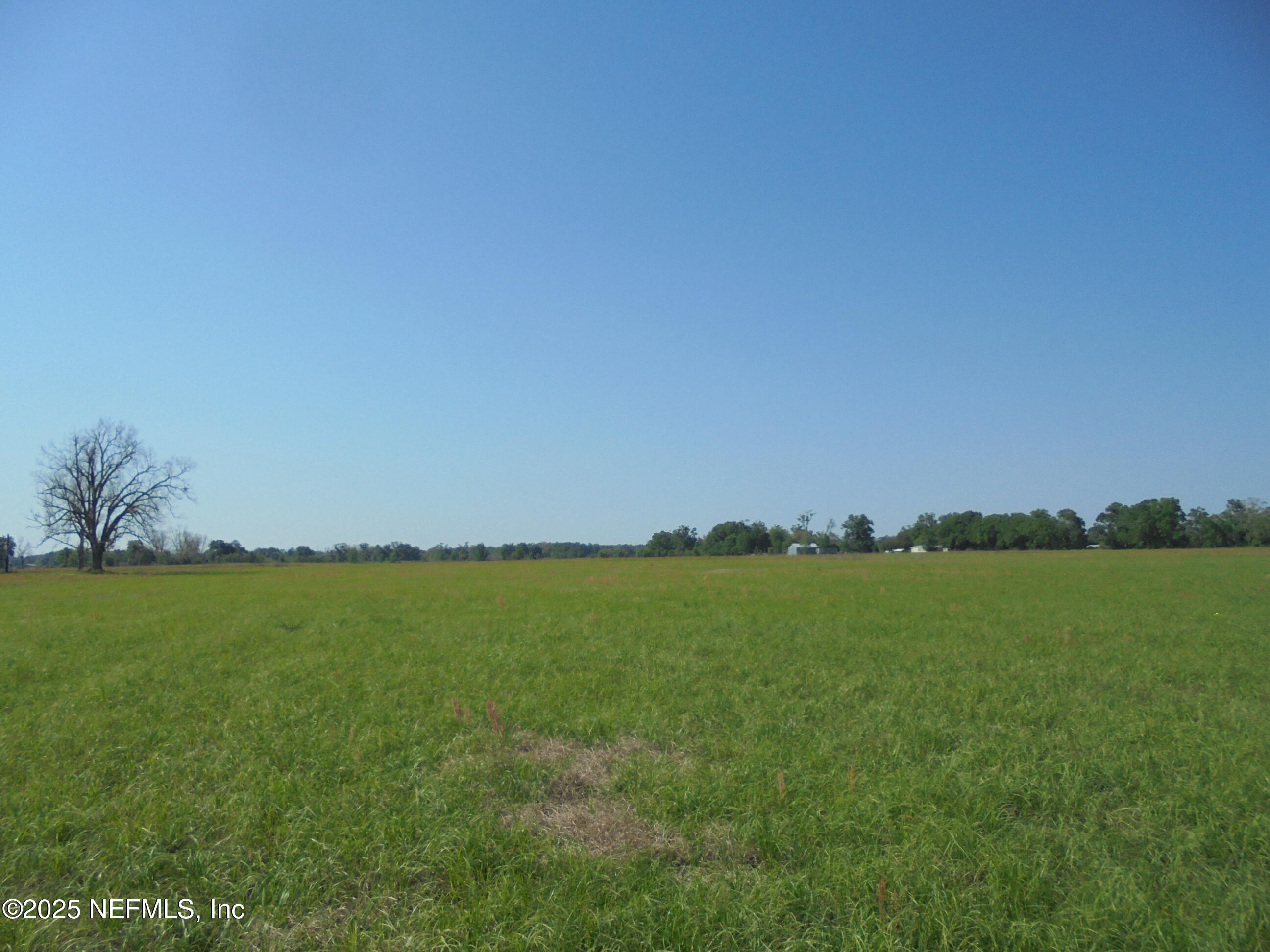 8516 240th Street O'Brien, FL 32071 - Photo 4 of 12 a view of an ocean beach and a yard