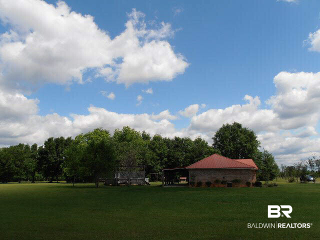 29320 County Road 32 Elberta, AL 36530 - Photo 8 of 41 Side yard