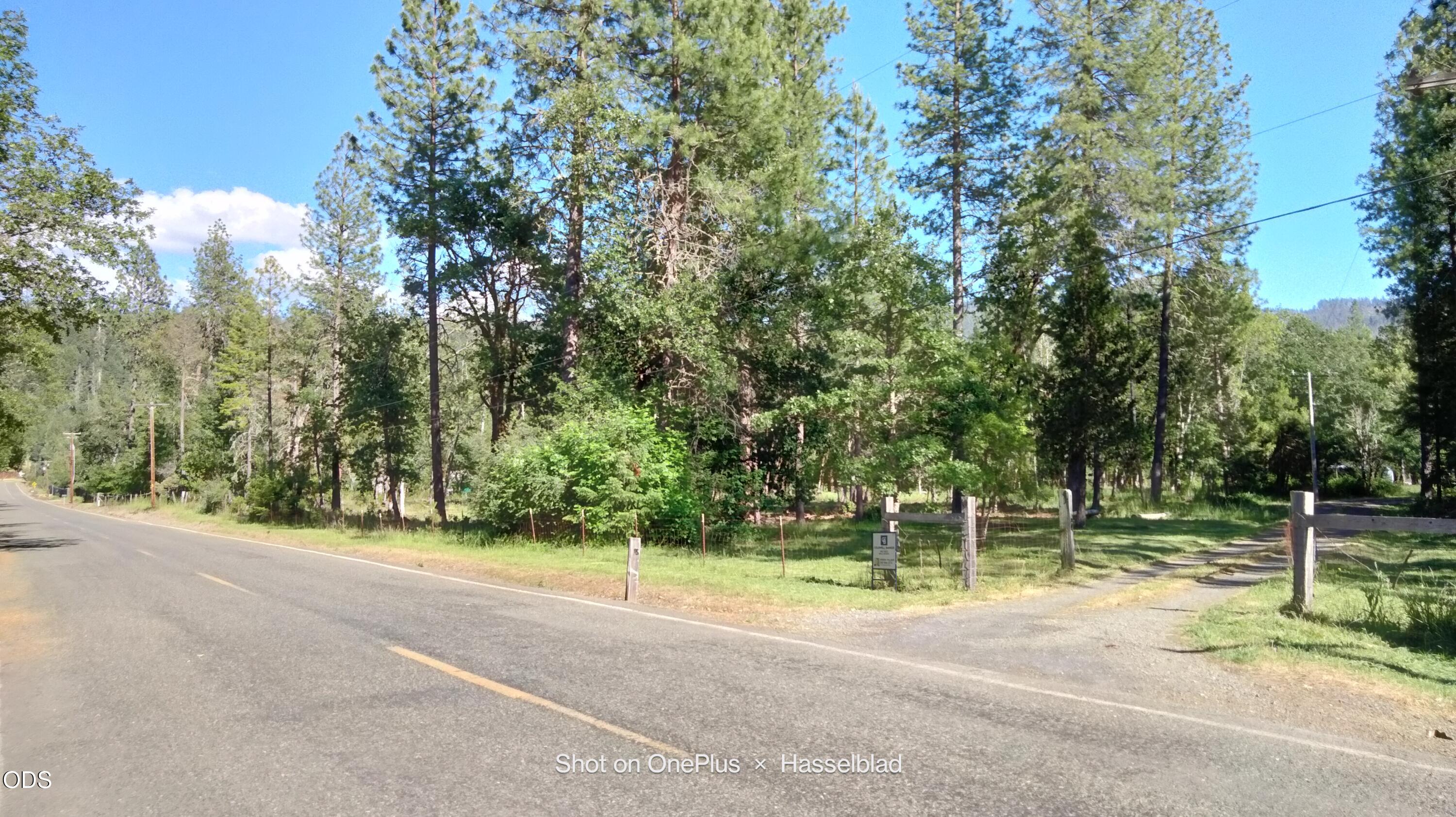 575 Kirkham Road Cave Junction, OR 97523 - Photo 4 of 50