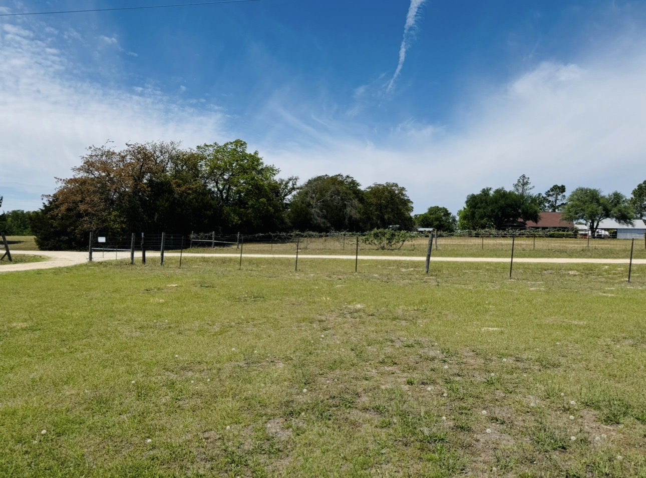 1094 Raintree Lane Elgin, TX 78621 - Photo 36 of 36 View looking from front porch.