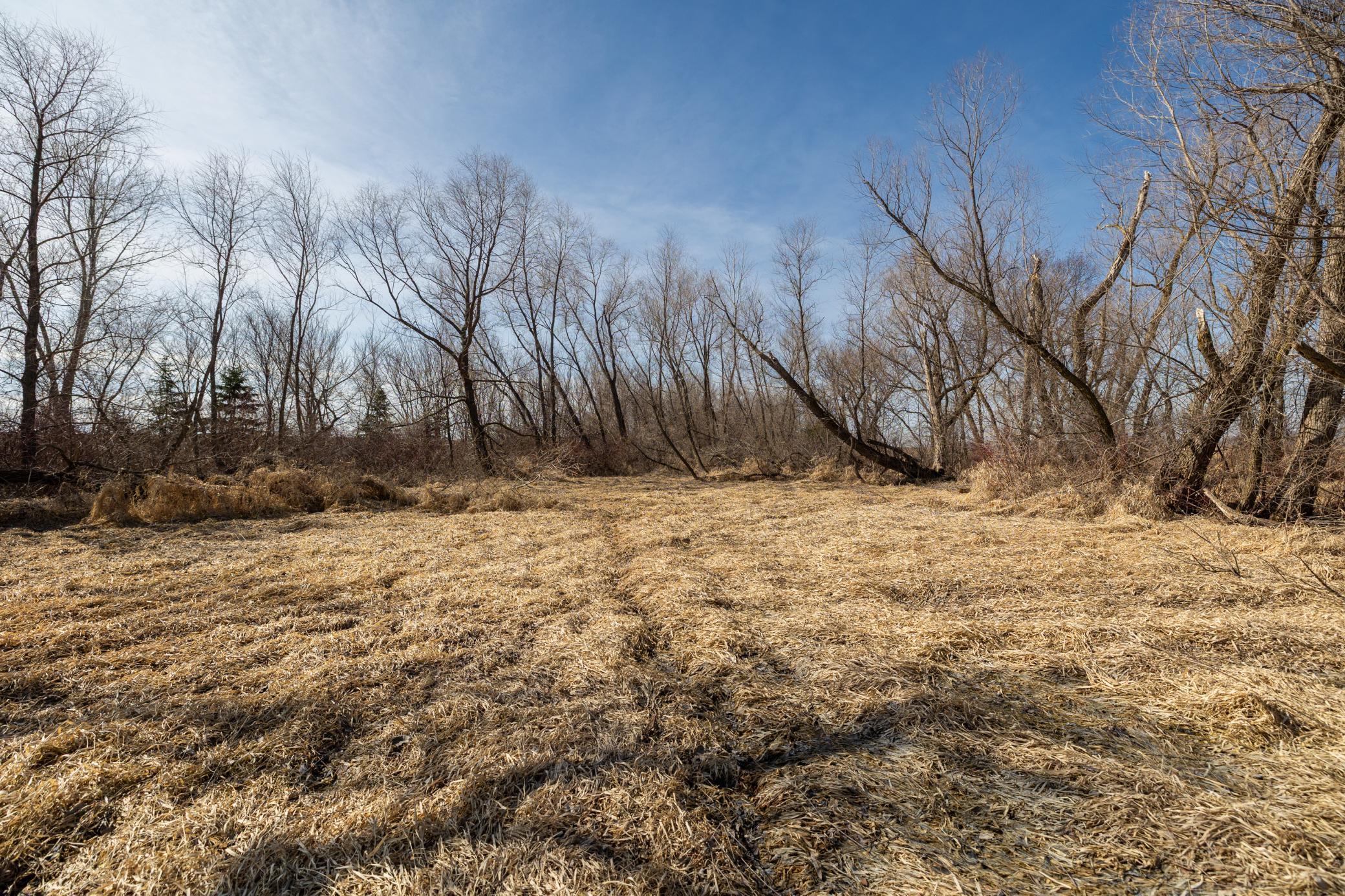0 Mn-25 Mayer, MN 55360 - Photo 23 of 59