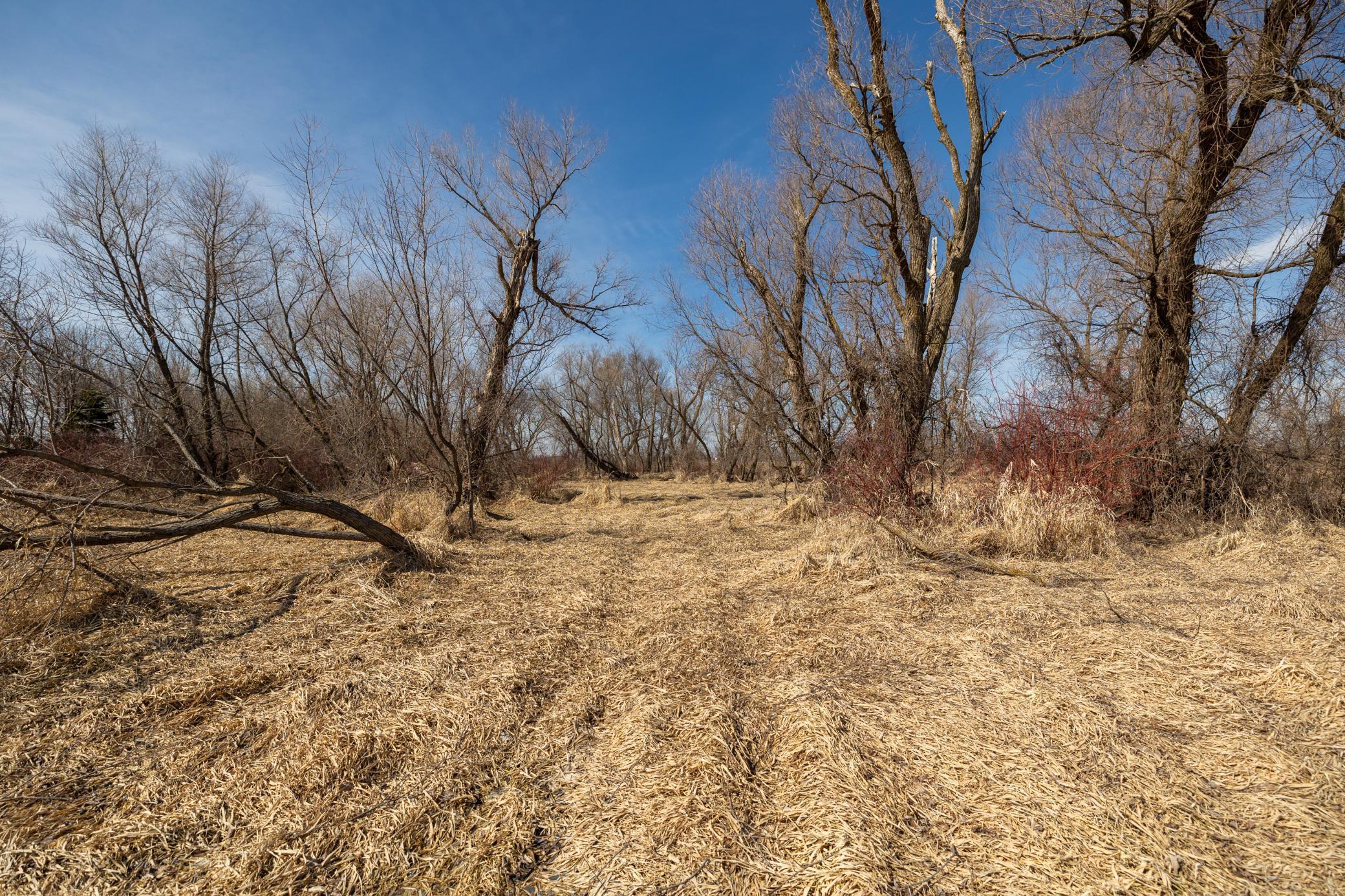 0 Mn-25 Mayer, MN 55360 - Photo 25 of 59