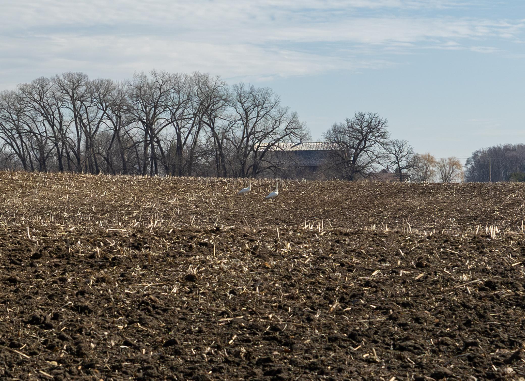 0 Mn-25 Mayer, MN 55360 - Photo 39 of 59