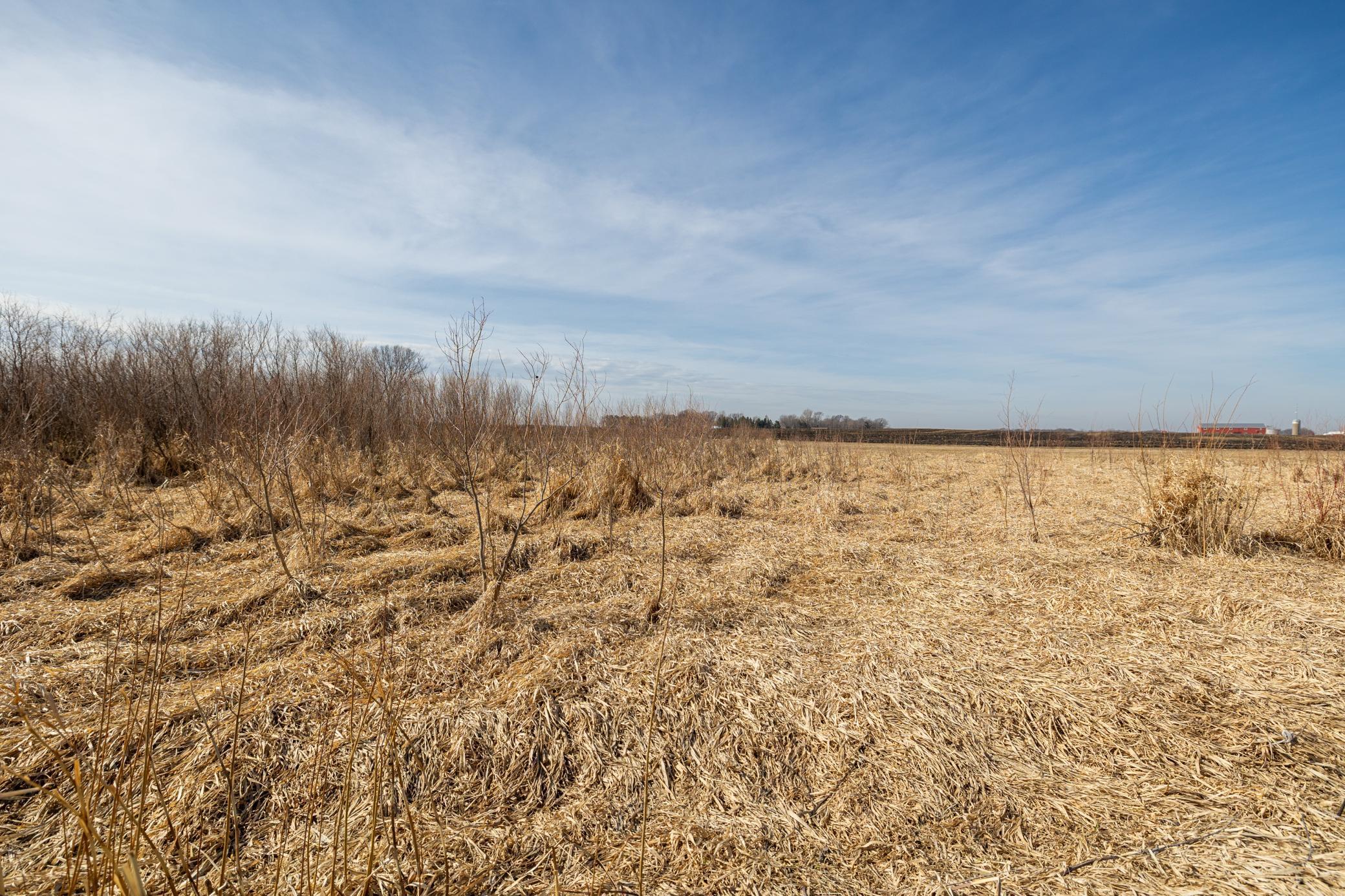 0 Mn-25 Mayer, MN 55360 - Photo 40 of 59