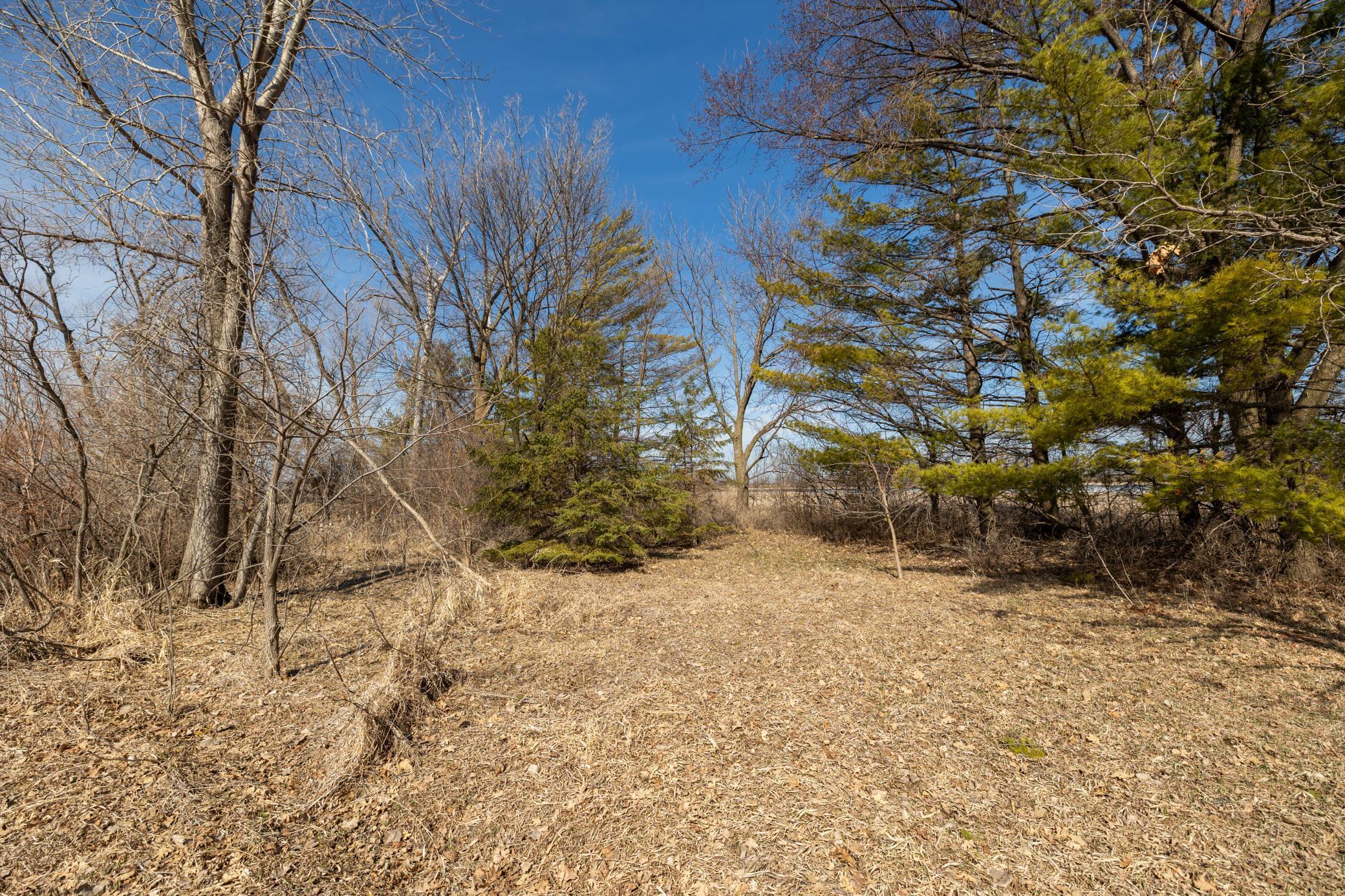 0 Mn-25 Mayer, MN 55360 - Photo 41 of 59