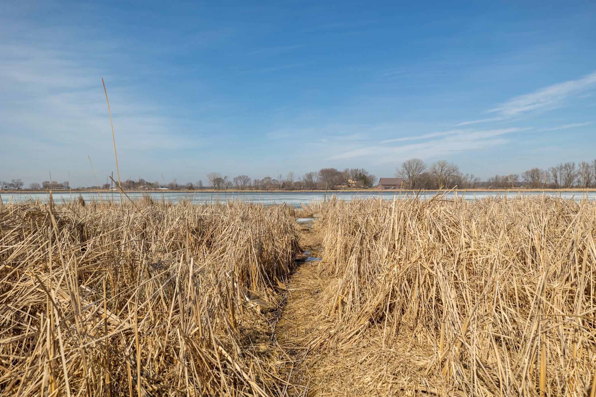 0 Mn-25 Mayer, MN 55360 - Photo 43 of 59