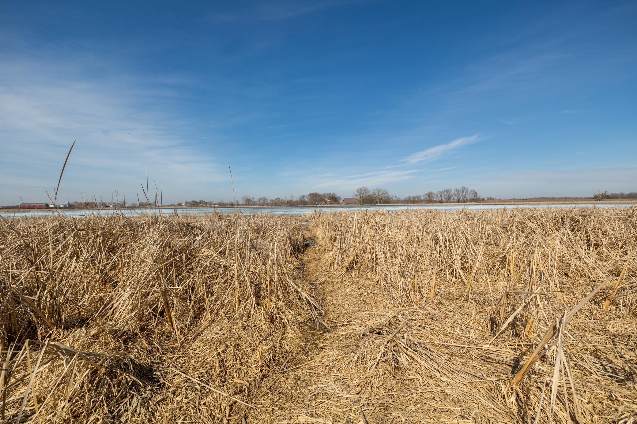 0 Mn-25 Mayer, MN 55360 - Photo 46 of 59