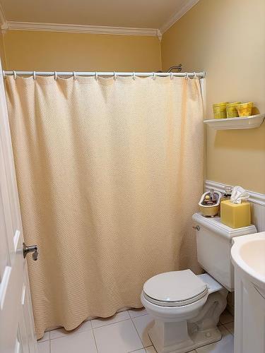 8 Ledger View Court Highland Mills, NY 10930 - Photo 10 of 28