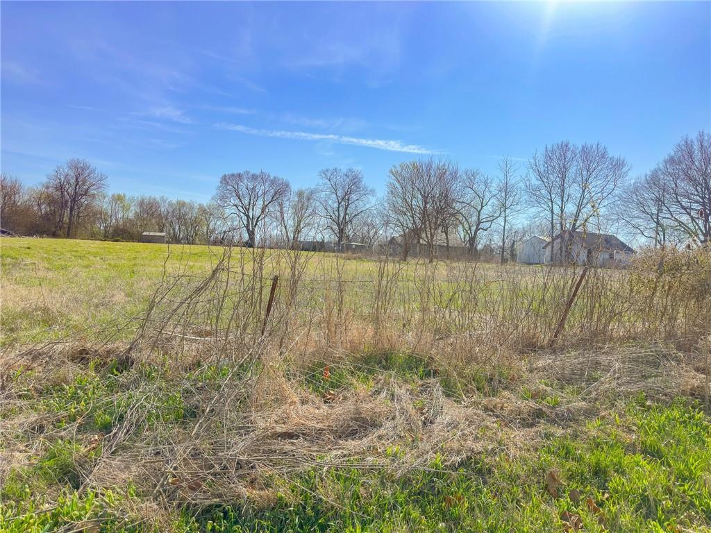 Tbd Southwest County Rd U Highway Holden, MO 64040 - Photo 2 of 4