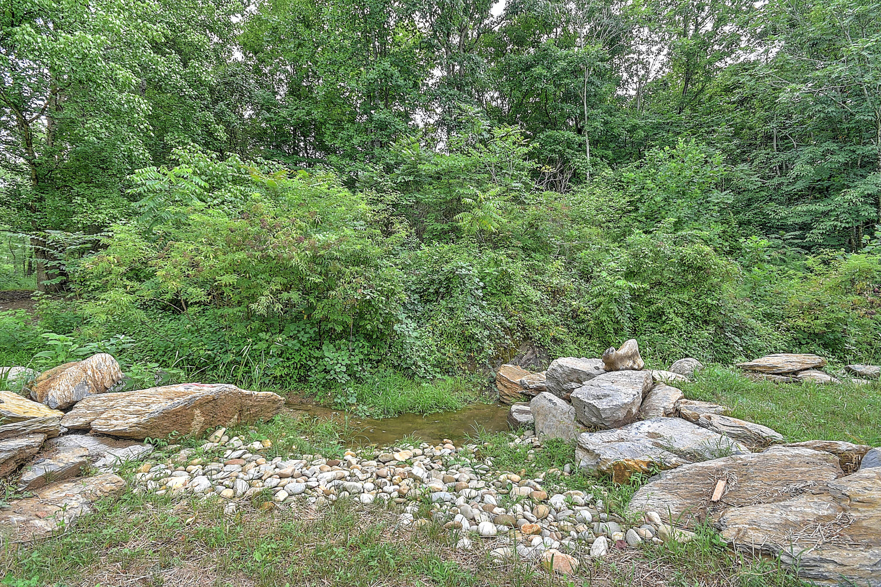 437 Bluff Road Blountville, TN 37617 - Photo 51 of 72 Blountville_-51