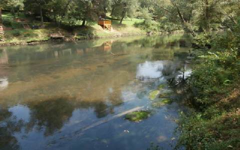 16.48 Hogback Drive Blue Ridge, GA 30513 - Photo 1 of 1 Main View
