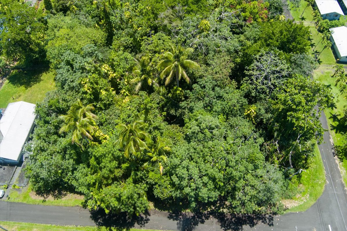 15-2761 Opihi Street Pahoa, HI 96778 - Photo 11 of 27 a view of a garden