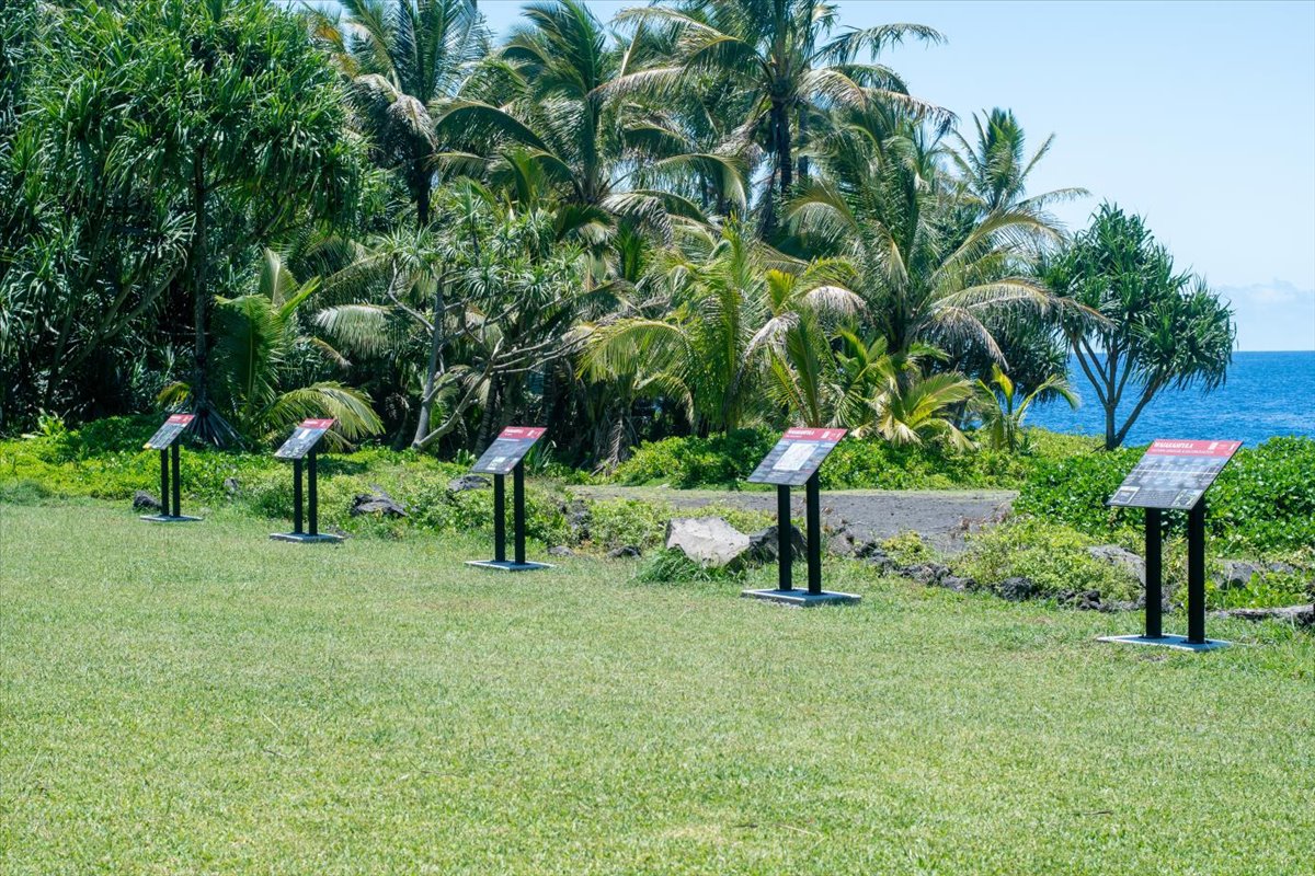 15-2761 Opihi Street Pahoa, HI 96778 - Photo 15 of 27 a view of park