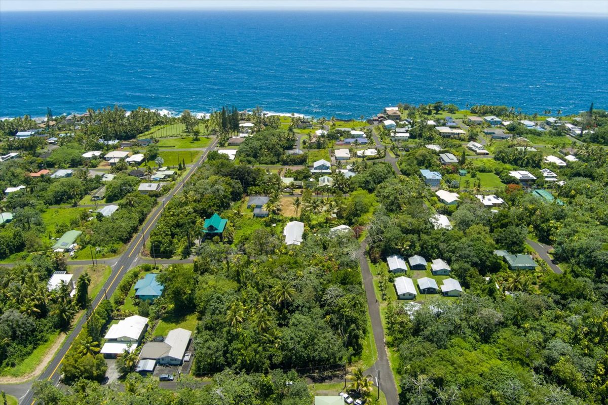 15-2761 Opihi Street Pahoa, HI 96778 - Photo 22 of 27 a view of a bunch of plants