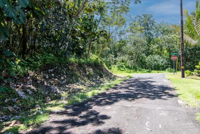 a view of a park with a tree