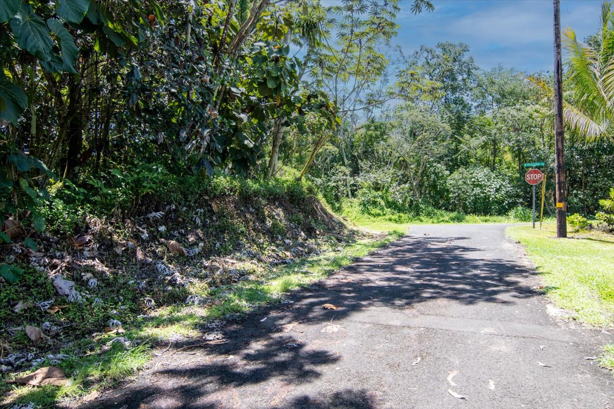 15-2761 Opihi Street Pahoa, HI 96778 - Photo 4 of 27 a view of a park with a tree