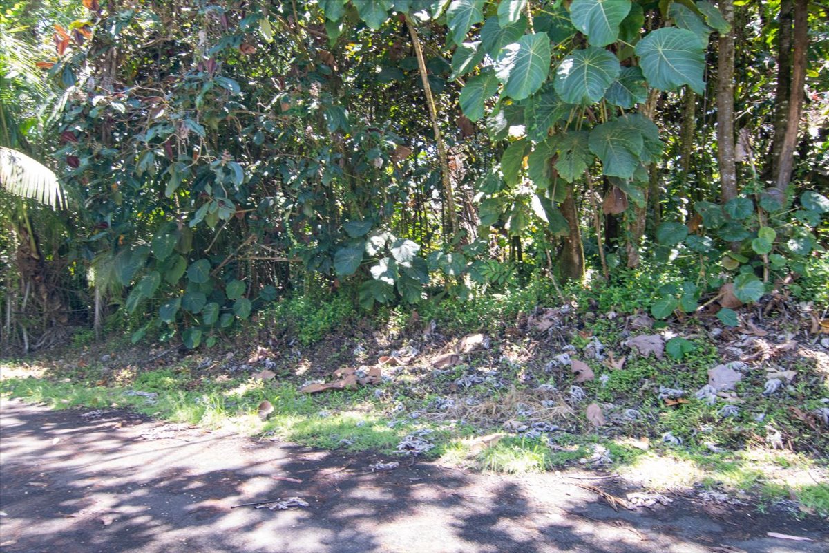 15-2761 Opihi Street Pahoa, HI 96778 - Photo 5 of 27 a backyard of a house with lots of green space