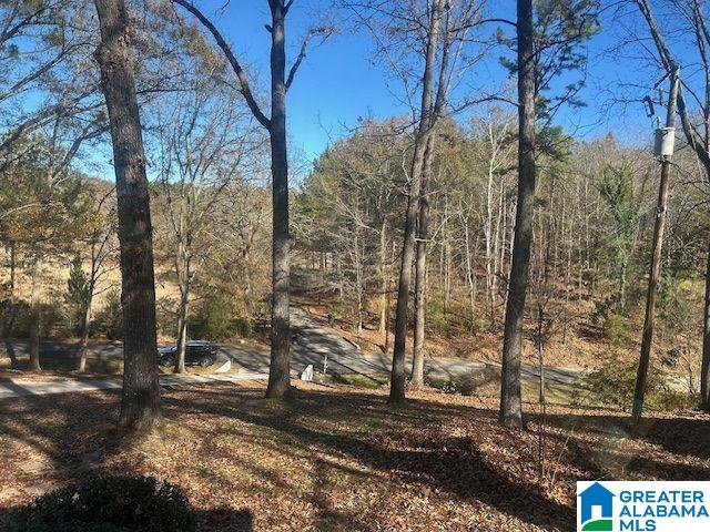495 McGuire Road Pelham, AL 35124 - Photo 18 of 20
