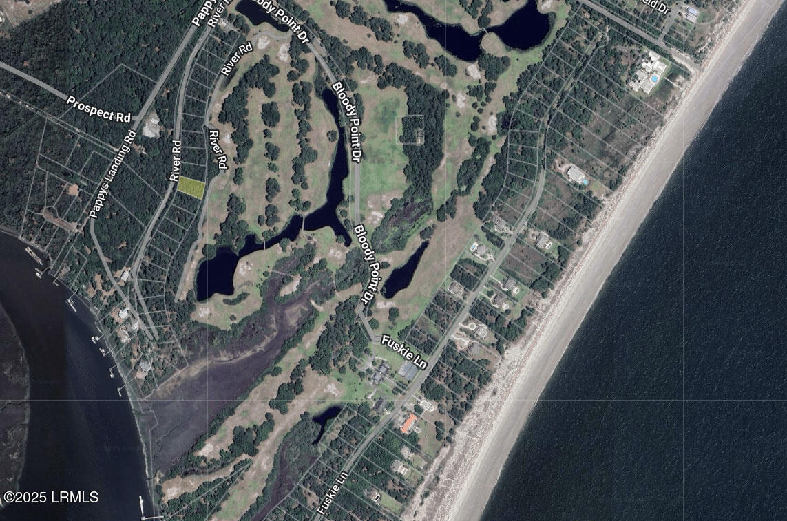 23 River Road Daufuskie Island, SC 29915 - Photo 2 of 14 002-Screenshot-681_____