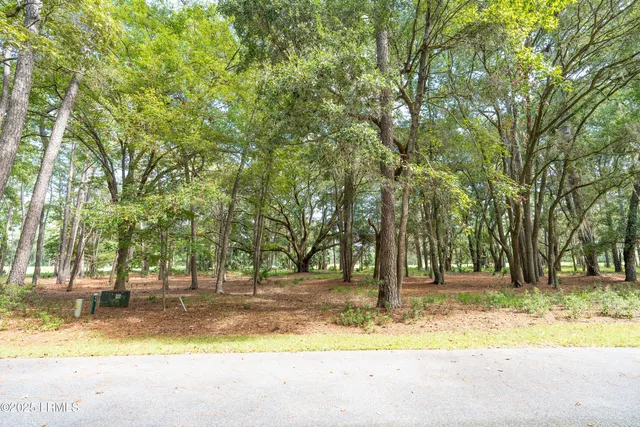 $24,900 | 23 River Road, Daufuskie Island, SC 29915