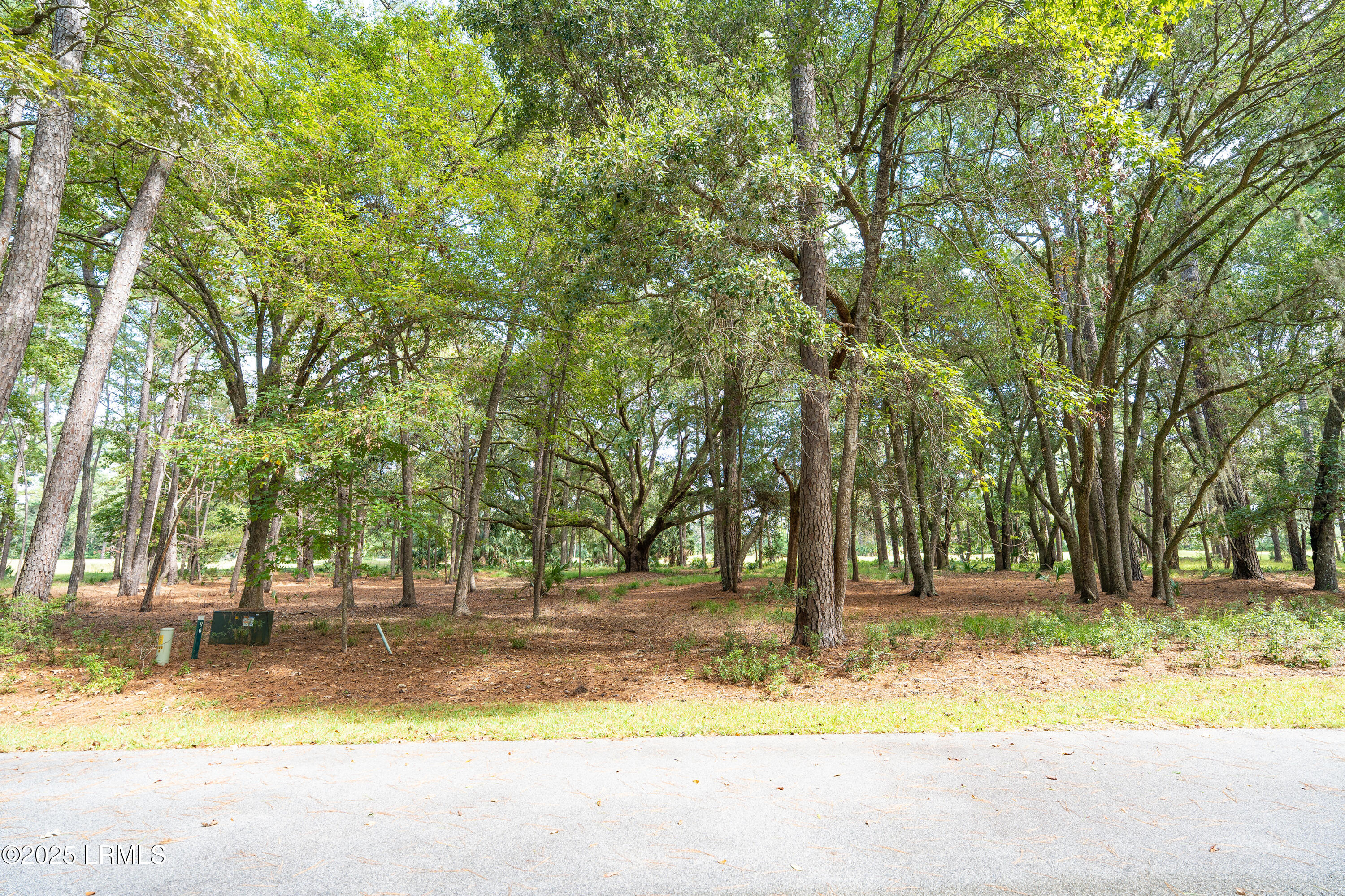 23 River Road Daufuskie Island, SC 29915 - Photo 3 of 14 003-DSC00044