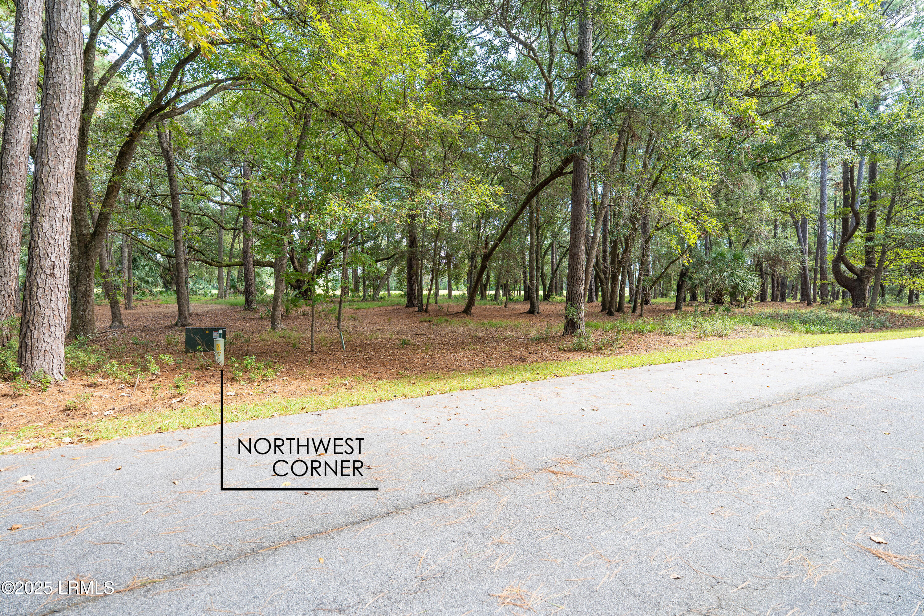 23 River Road Daufuskie Island, SC 29915 - Photo 6 of 14 006-DSC00008___