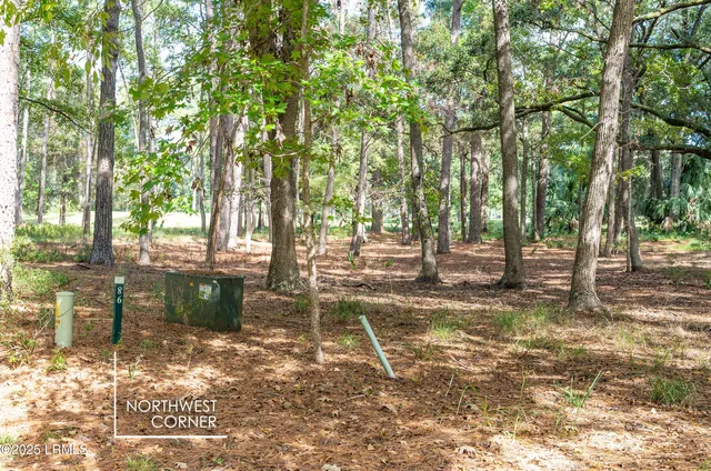 $24,900 | 23 River Road, Daufuskie Island, SC 29915