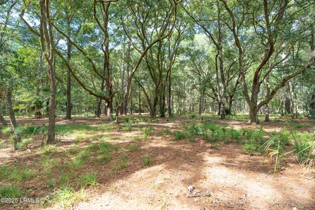 $24,900 | 23 River Road, Daufuskie Island, SC 29915