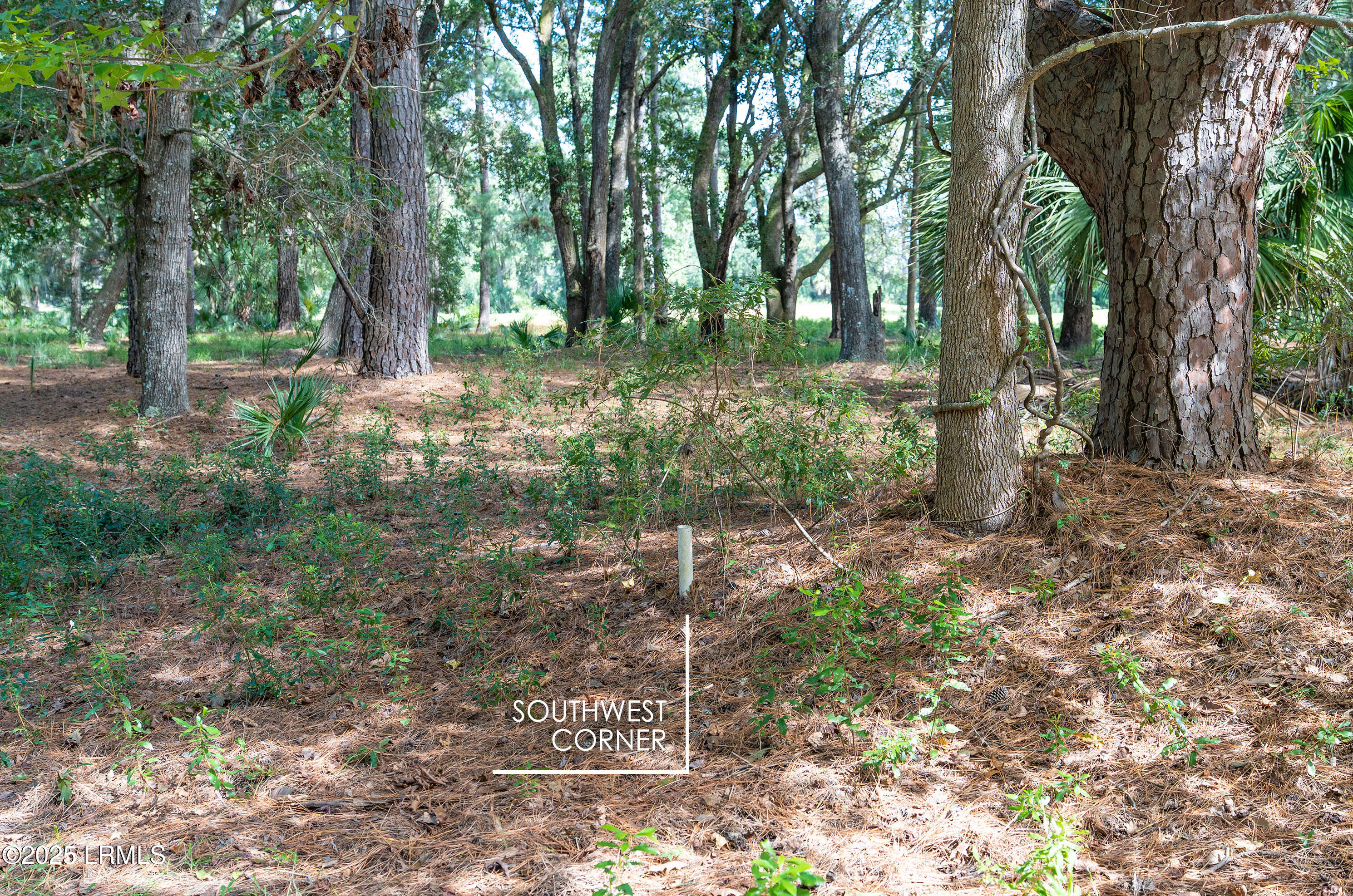 23 River Road Daufuskie Island, SC 29915 - Photo 10 of 14 012-DSC00052___