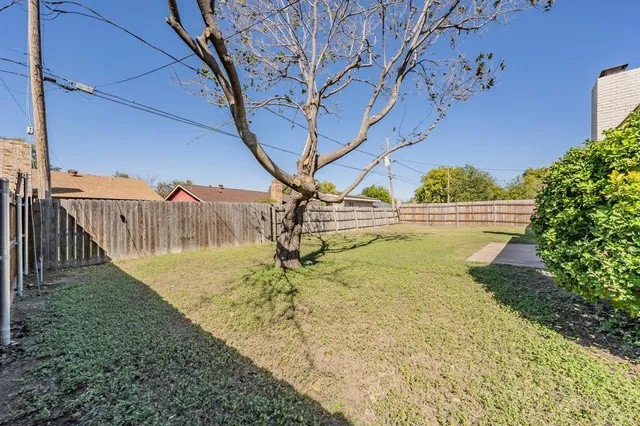 a view of a yard with a tree