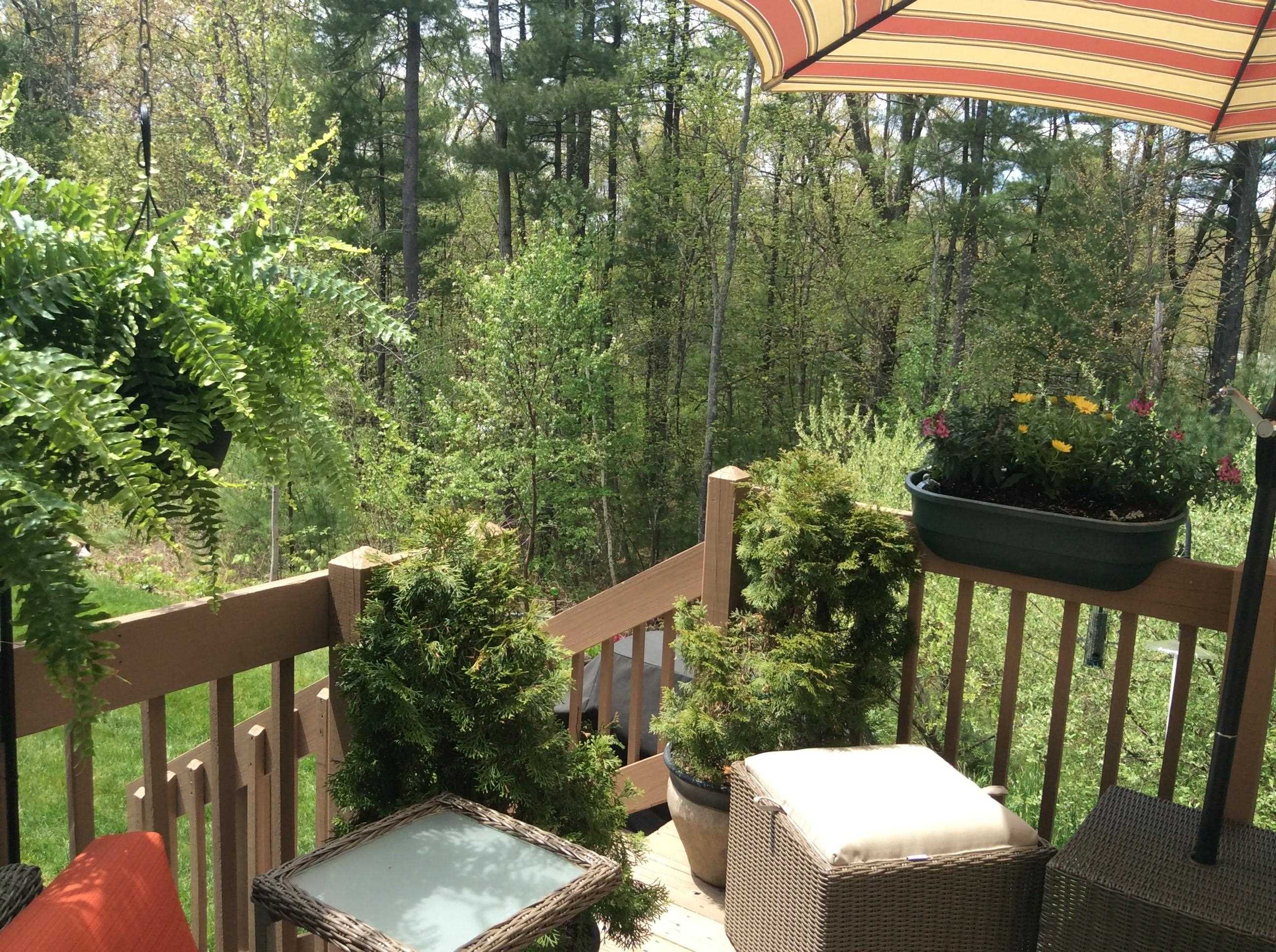 34 Mammoth Road, Unit 27 Hooksett, NH 03106 - Photo 50 of 55