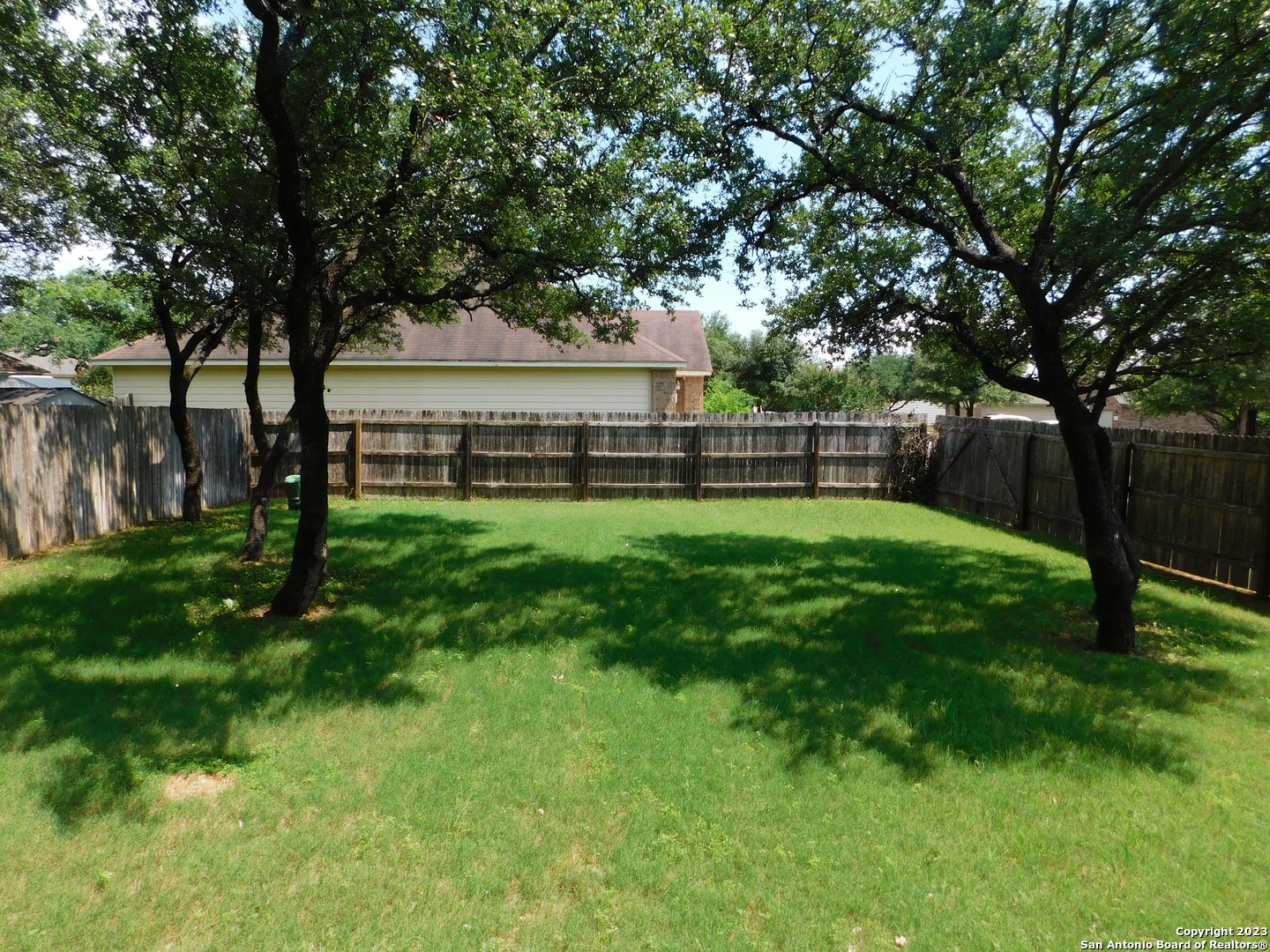 4302 Crystal Bay San Antonio, TX 78259 - Photo 31 of 32 a view of a yard with a large tree