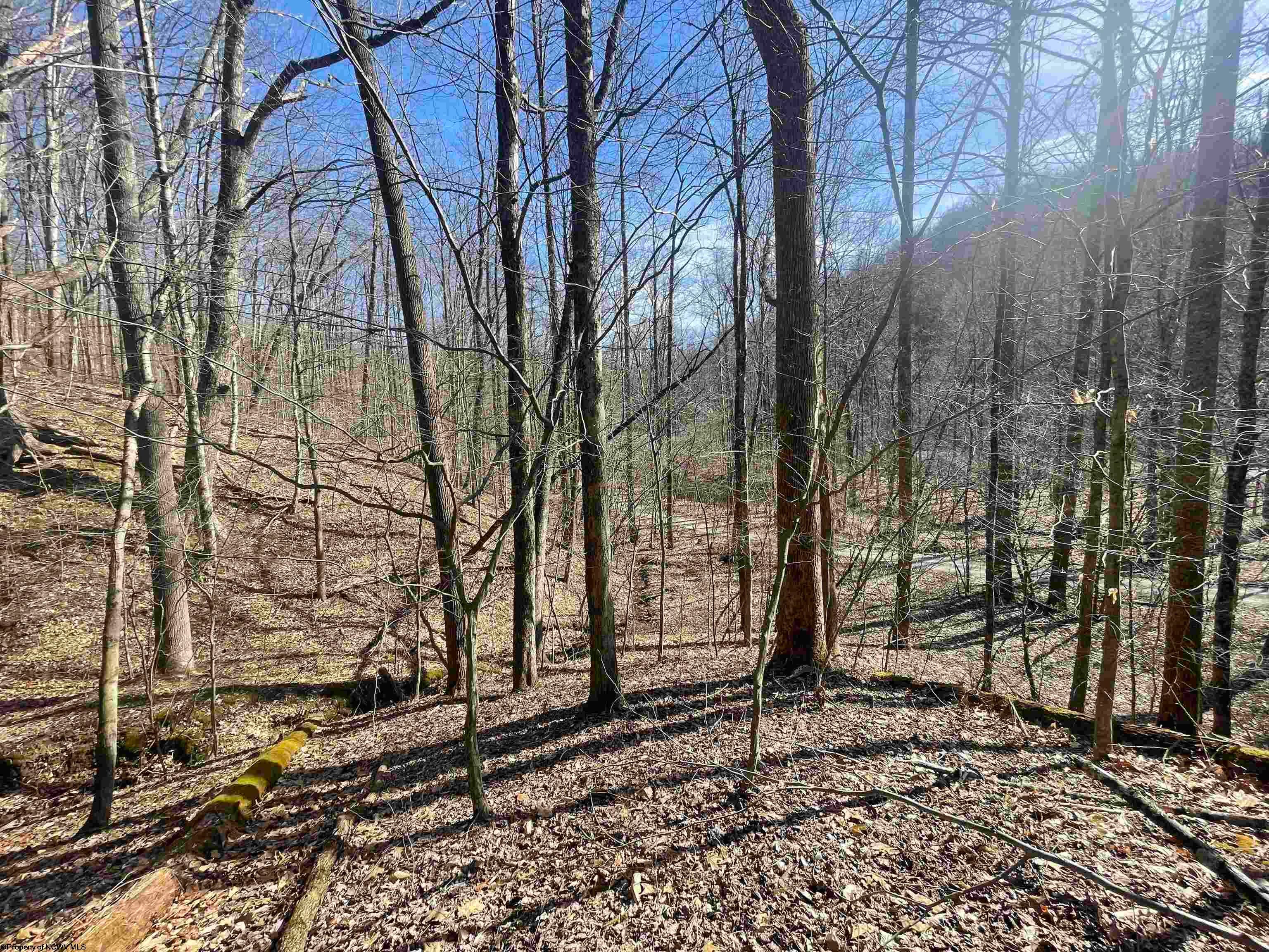 Tbd Jack Hill Road Buckhannon, WV 26201 - Photo 37 of 50 Gallery Image 37