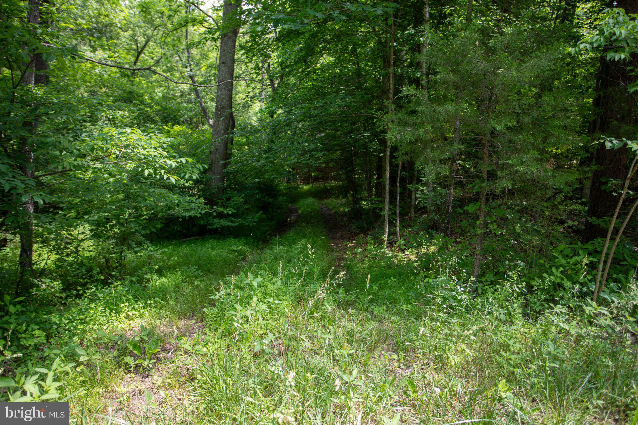Tbd Brandon Road, Unit 4 Chatham, VA 24531 - Photo 18 of 31 Gallery Image 18