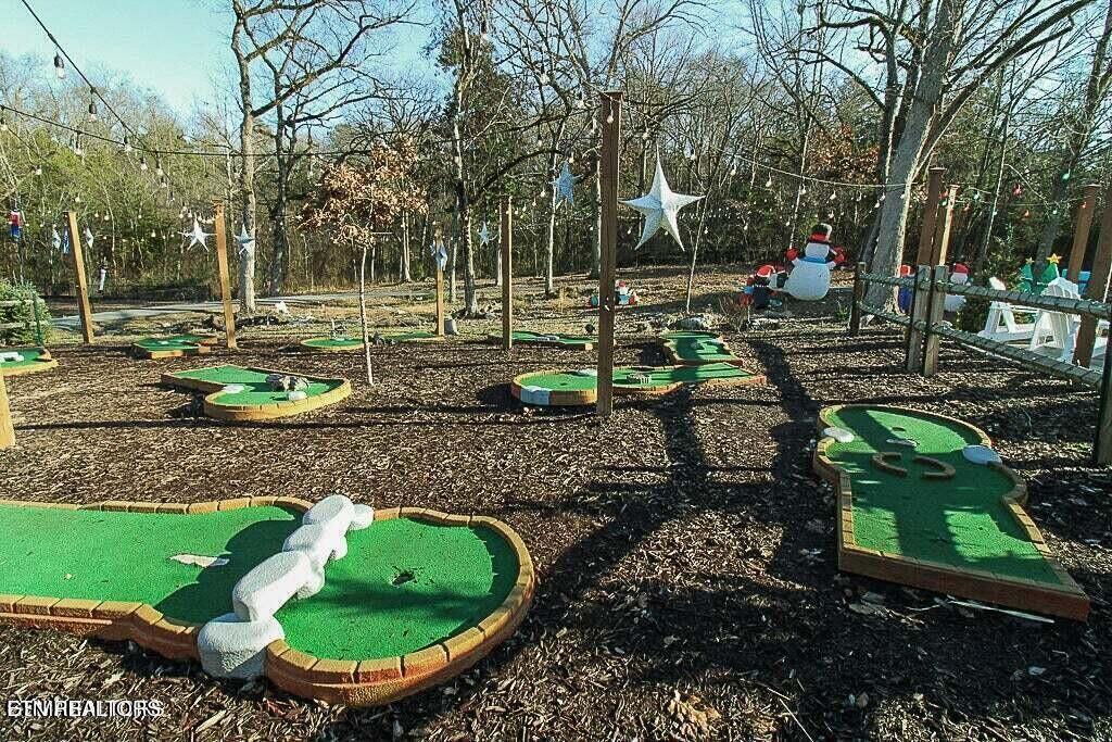 225 Collier Drive, Unit 2409 Sevierville, TN 37862 - Photo 42 of 51 IMG_0131