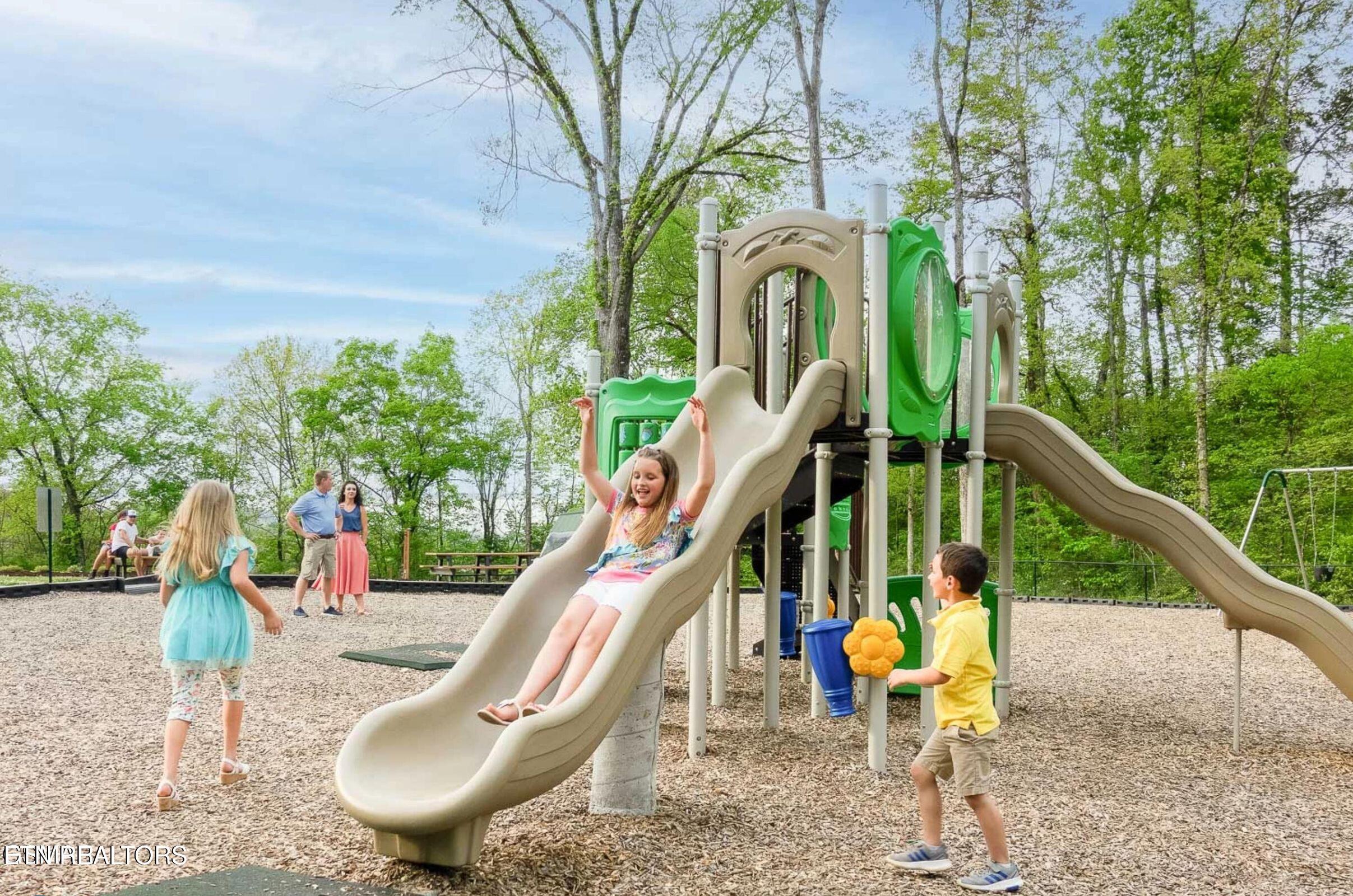 225 Collier Drive, Unit 2409 Sevierville, TN 37862 - Photo 43 of 51 IMG_0132