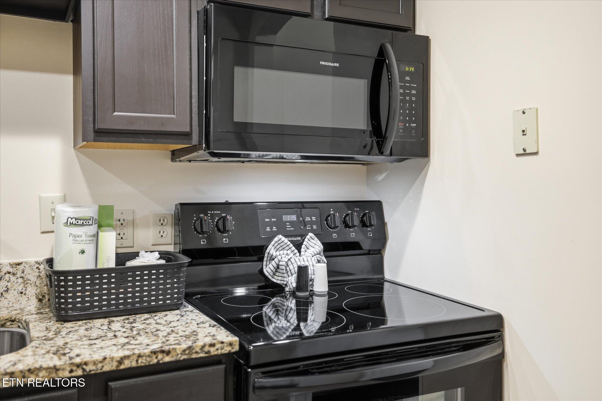 225 Collier Drive, Unit 2409 Sevierville, TN 37862 - Photo 10 of 51 06-IMG_0074