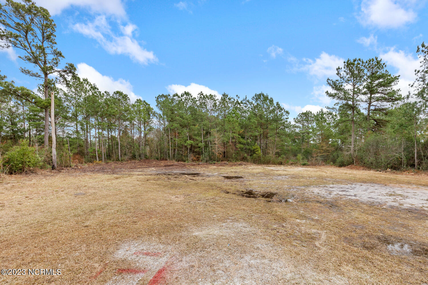 165 Arthur Boney Road Beulaville, NC 28518 - Photo 29 of 29 arthur-26
