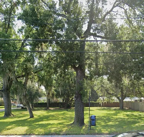 a view of a park with large trees