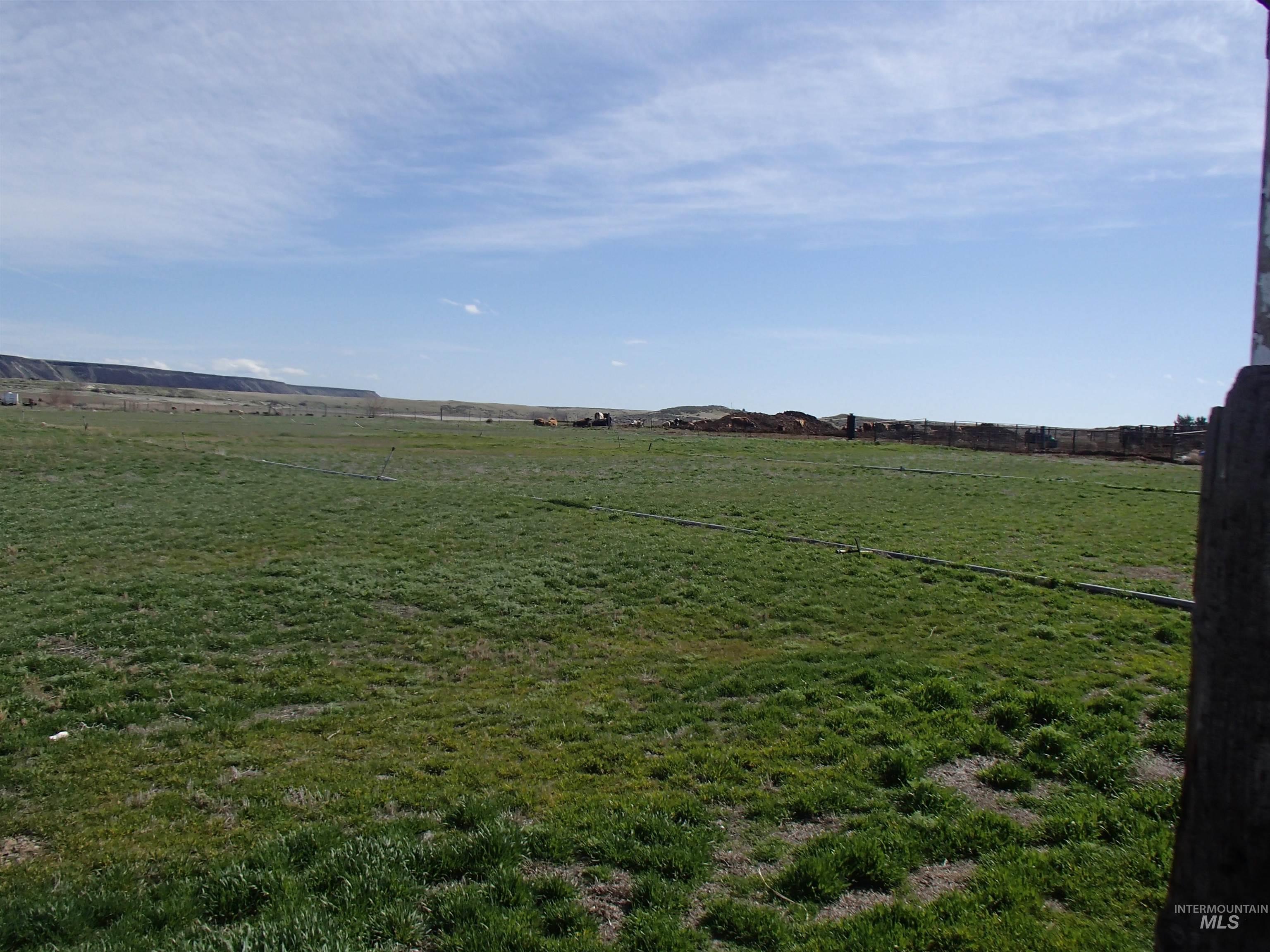 9506 Wright Road Melba, ID 83641 - Photo 36 of 37 View of green lawn featuring a view of rural / pastoral area