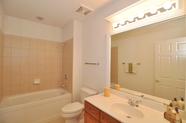 14 South Prospect Street, Unit 503 Roselle, IL 60172 - Photo 12 of 17